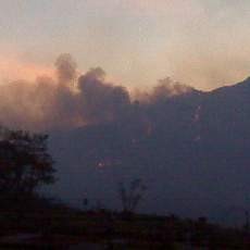 Kebakaran Hutan Arjuna Mulai Merambat ke Batu dan Mojokerto