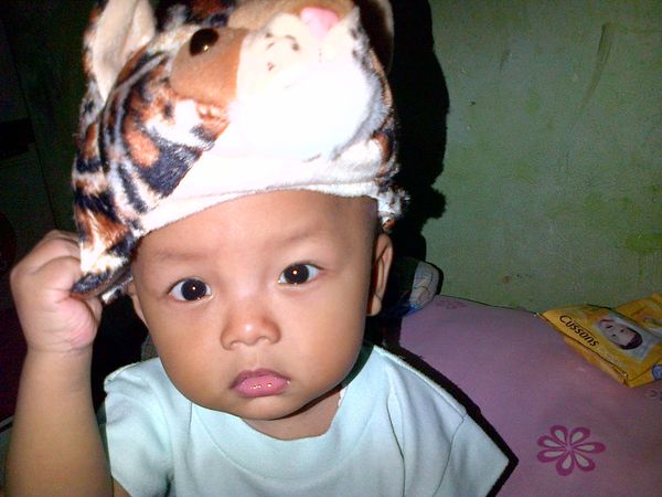 Rafif Al Baihaqi, 1,1 Tahun, Lelaki