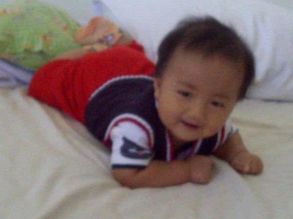 Muhammad Fawwaz AlIfadhl, 7 Bulan, Lelaki
