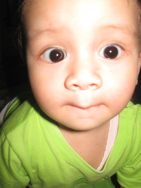 Raihan Athaillah Hamidi, 1,7 Tahun, Lelaki