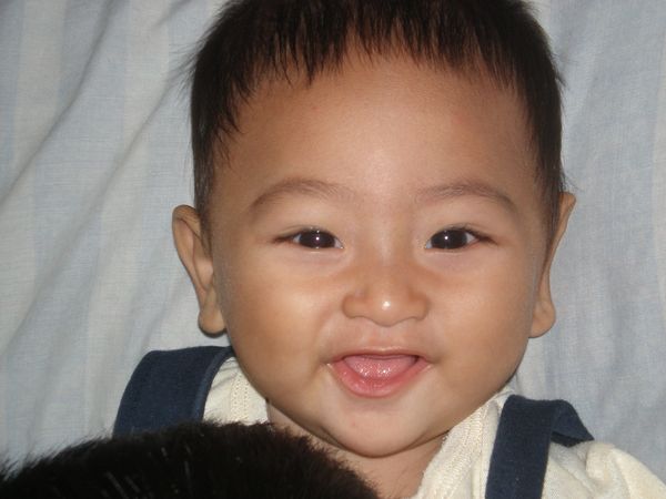 Arlie Ash Shifani, 11 Bulan, Lelaki
