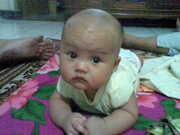 Alfiandra Lingga Permana, 4 Bulan, Lelaki