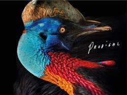 Album Terbaru Rock N Roll Mafia Dirilis di Java Soulnation 2012