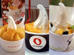 Sluuurp! Manakah Froyo yang Paling Dingin Lembut dan Segar?