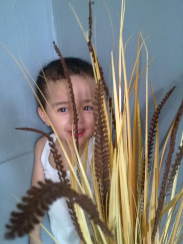 Farid Rizqullah, 2,6 Tahun, Lelaki