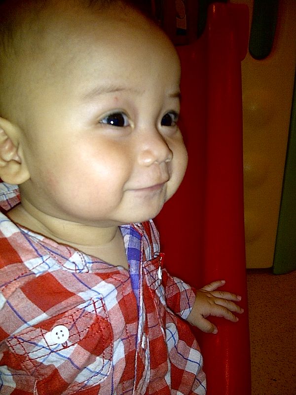 Farell Hainzrich Kandola, 1,6 Tahun, Lelaki