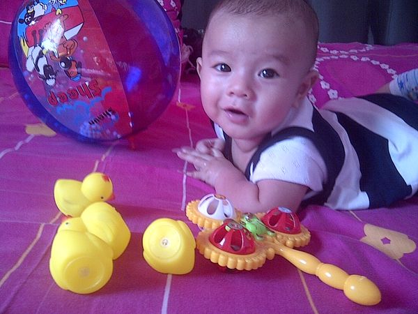 Qaishar Al Safaraz, 1,9 Tahun, Lelaki