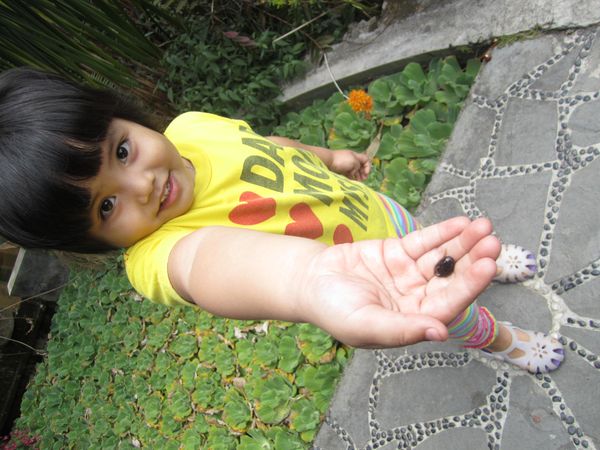 Aura Chantika, 3,7 Tahun, Perempuan