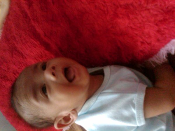 Belgiani April Saputra Berutu, 5 Bulan, Lelaki