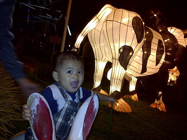 Fadhil Ahsan Alfarizi, 1,9 Tahun, Lelaki
