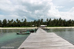 Kayanya alam Pulau Pongok