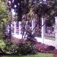 Anggaran Perawatan Taman di Kota Bandung Capai Rp 600 Juta