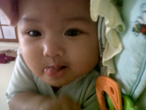 Lintang Nayla Alesha, 7 Bulan, Perempuan