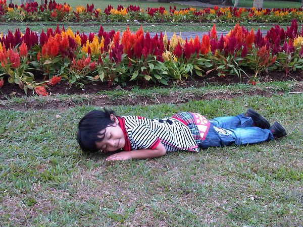 Radicka Eviano Putra, 3,8 Tahun, Lelaki