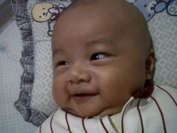 Muhammad Ahsan Al Fatih, 1,2 Tahun, Lelaki