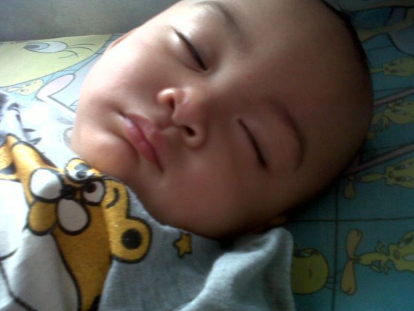 Shakira Adelia, 1,5 Tahun, Perempuan