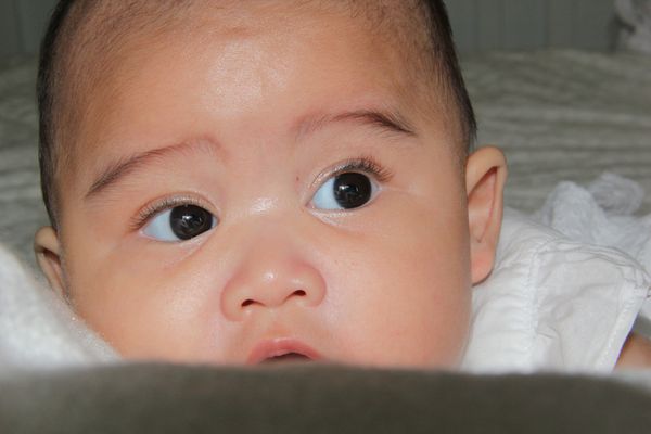 Alishya Nadine Soedjarwo, 2,3 Tahun, Perempuan