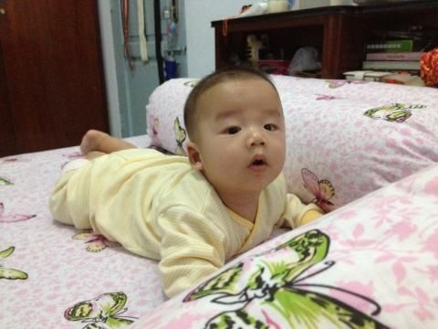 Sebastien Moses Sutrisno, 6 Bulan, Lelaki