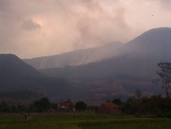 Gunung Guntur di Garut Terbakar, Petugas Masih Melakukan Pemadaman Api