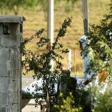 Lagi-lagi, 7 Mayat Dimutilasi Ditemukan di Meksiko