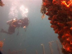 Ssst! Ada Harta Tersembunyi di Sulawesi Utara 