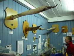 Mr P Bertebaran di Museum Ini