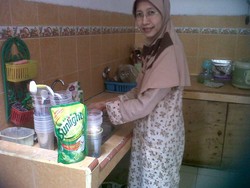 Kapok Pakai Pencuci Piring Lain 