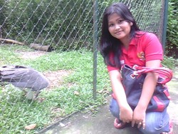 Sunlight itu, Sesuatu yahh..