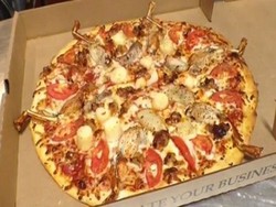 Mamma Mia! Everglades Pizza, Pizza Bertopping Daging Ular Python