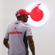 Momen Pendewasaan Hamilton