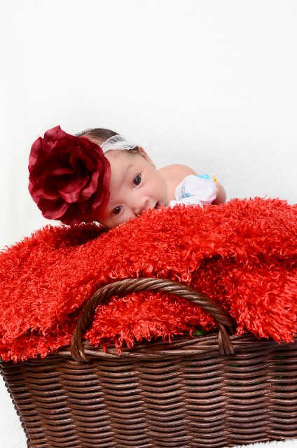 Queensha Apple Prima, 3 Bulan, Perempuan