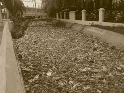 Perusakan lingkungan