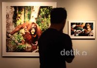 Orangutan Kalimantan di Mata Perempuan