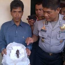 Lagi-lagi Temuan Jenglot Gegerkan Warga Malang