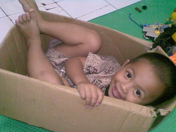 Muhammad Hafiz Afrizal, 2,6 Tahun, Lelaki