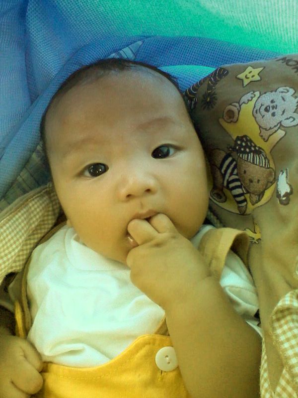 Darryl Kamil Haidar, 2,5 Tahun, Lelaki
