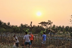Wisata ke Sawah