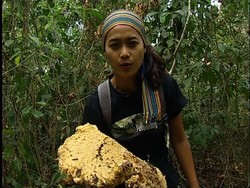 KADO ALAM DARI TANAH BUTON