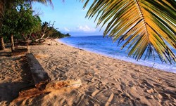 Jayapura, Tercantik di Punggung Papua