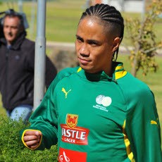 Pienaar Pensiun dari Timnas