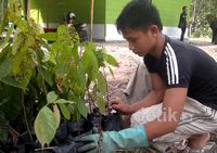 Warga Nias Diajari Bercocok Tanam