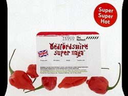 Cabai Terpedas di Inggris Tak Boleh Disentuh Tangan