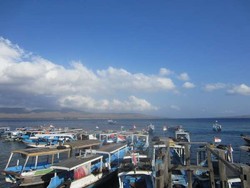 Eksotisme Pulau Menjangan di Bali Barat