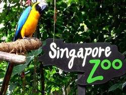 5 Taman Hiburan untuk Akhir Pekan Sempurna di Singapura