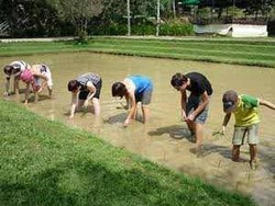 5 Tempat Seru Akhir Pekan Bareng Buah Hati