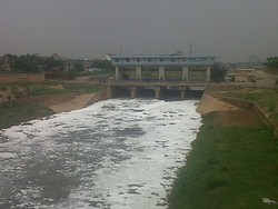 Busa Putih Penuhi Kanal Banjir Timur