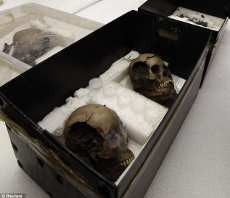 Puluhan Tengkorak Peninggalan Bangsa Aztec Ditemukan di Kota Meksiko