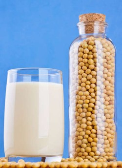 Sumber Protein Ini Penting Dikonsumsi Oleh Vegetarian