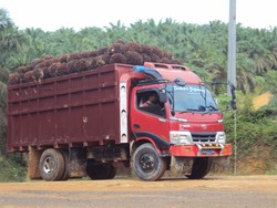 Sawit Muaro Jambi