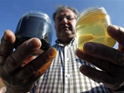 Limbah M&Ms Sebabkan Madu Berwarna Hijau dan Biru